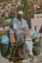 Image du Maroc Professionnelle de  Un berbère rentre chez lui à dos de mulet bien chargés de sacs de foins destinés à la nourriture du bétail après avoir fait ses courses au marché de Tnine Ourika, le village berbère située dans la vallée de l'Ourika sur la route de l'Oukaimden dans le haut Atlas, Mardi 27 Février 2007. (Photo / Abdeljalil Bounhar)